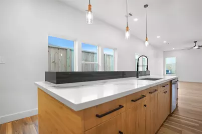 315 Palmer Street, Houston, TX 77003 - Photo 9