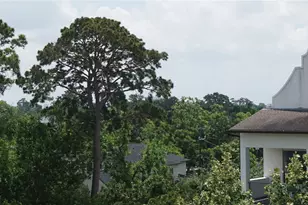 1602 Janak Garden Ln, Houston, TX 77055 - Photo 3