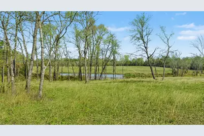 3901 E Fm 942, Livingston, TX 77351 - Photo 9