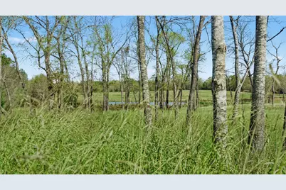 3901 E Fm 942, Livingston, TX 77351 - Photo 23