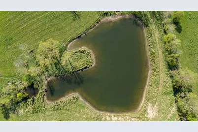 3901 E Fm 942, Livingston, TX 77351 - Photo 27