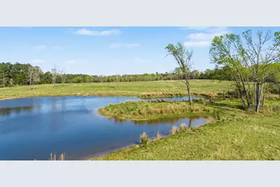 3901 E Fm 942, Livingston, TX 77351 - Photo 13