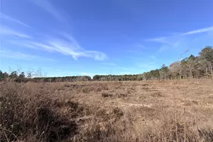 Tbd Cr 4800, Warren, TX 77664 - Photo 1