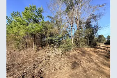 Tbd Cr 4800, Warren, TX 77664 - Photo 3