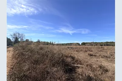 Tbd Cr 4800, Warren, TX 77664 - Photo 13