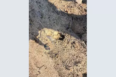 Tbd Cr 4800, Warren, TX 77664 - Photo 5