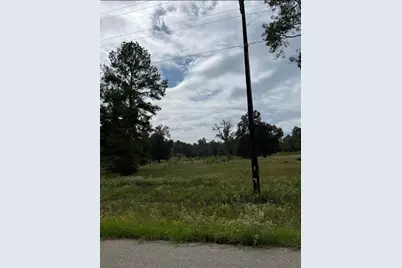 Lot 3 Dahlia Road, Huntsville, TX 77320 - Photo 3