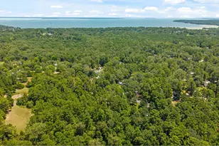 350 Oak Tree Dr, Point Blank, TX 77364 - Photo 3