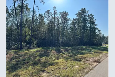 15386 Red Hawk Road, Willis, TX 77378 - Photo 7