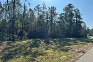 15386 Red Hawk Rd, Willis, TX 77378 - Photo 7