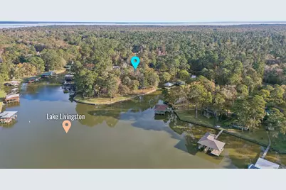 91 Willow Street, Point Blank, TX 77364 - Photo 45