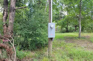 380 Cedar Valley Dr, Coldspring, TX 77331 - Photo 13