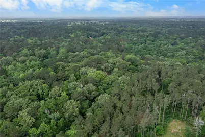 23619 Sharp Road, Montgomery, TX 77356 - Photo 11