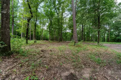 23619 Sharp Road, Montgomery, TX 77356 - Photo 3