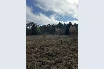 2519 County Road 131, Centerville, TX 75833 - Photo 19