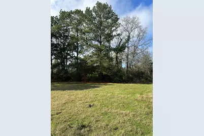 2519 County Road 131, Centerville, TX 75833 - Photo 11