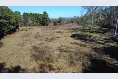 2519 County Road 131, Centerville, TX 75833 - Photo 25