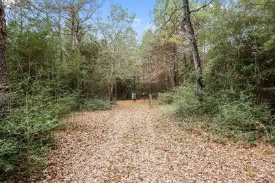 26136 Joseph Road, Hockley, TX 77447 - Photo 29