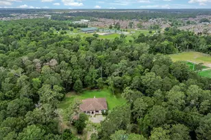 24387 Lenze Rd, Spring, TX 77389 - Photo 33