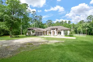 24387 Lenze Rd, Spring, TX 77389 - Photo 3