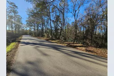 Lot 1 Sherwood Drive, Shepherd, TX 77371 - Photo 1