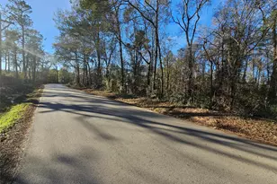 Lot 1 Sherwood Dr, Shepherd, TX 77371 - Photo 1