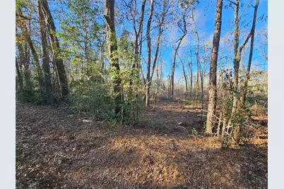 Lot 1 Sherwood Drive, Shepherd, TX 77371 - Photo 7