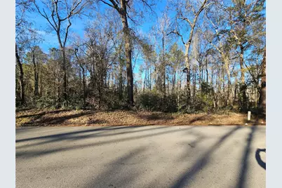 Lot 1 Sherwood Drive, Shepherd, TX 77371 - Photo 3