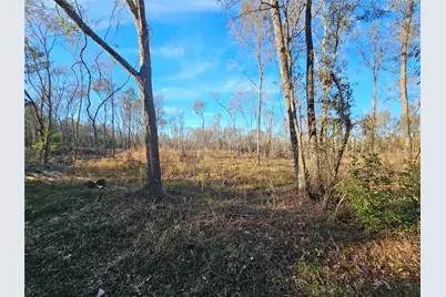 Lot 1 Sherwood Drive, Shepherd, TX 77371 - Photo 15