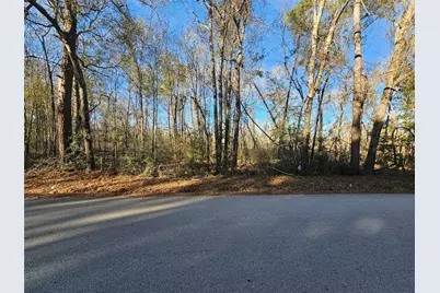 Lot 1 Sherwood Drive, Shepherd, TX 77371 - Photo 5