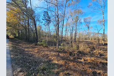 Lot 1 Sherwood Drive, Shepherd, TX 77371 - Photo 11