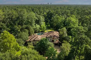 103 S Tranquil Path, The Woodlands, TX 77380 - Photo 47