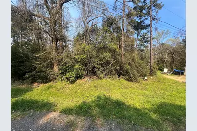 Tbd Red Fox Lane, Coldspring, TX 77331 - Photo 1