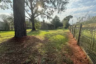 795 State Hwy Loop 393, Goodrich, TX 77335 - Photo 9