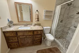 51 E Oakridge Dr, Point Blank, TX 77364 - Photo 11