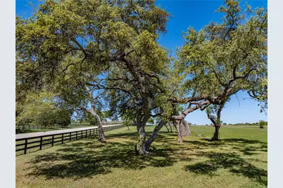 Tbd W Fm 1291, Round Top, TX 78954 - Photo 13