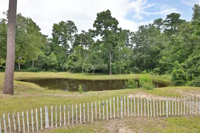 33940 Ansley Road, Magnolia, TX 77355 - Photo 5