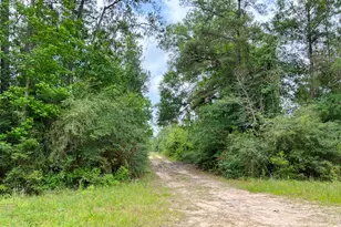 013 Old Arco Rd, Silsbee, TX 77656 - Photo 1