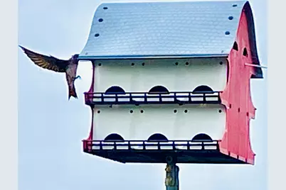 794 Marlin Street, Bayou Vista, TX 77563 - Photo 33