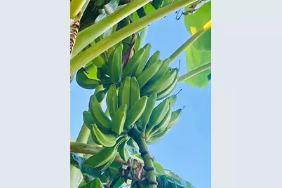 794 Marlin Street, Bayou Vista, TX 77563 - Photo 35