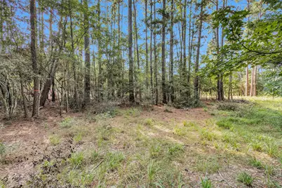 1503 Cheyenne Loop, Montgomery, TX 77316 - Photo 7