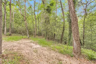 24614 Spruce, Huntsville, TX 77320 - Photo 45