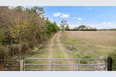 Tbd Fm 2445, Navasota, TX 77868 - Photo 3
