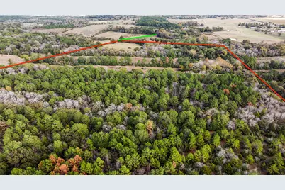 Tbd Fm 2445, Navasota, TX 77868 - Photo 7