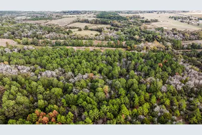 Tbd Fm 2445, Navasota, TX 77868 - Photo 13