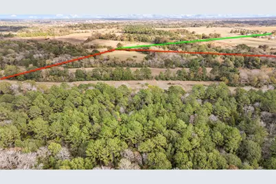 Tbd Fm 2445, Navasota, TX 77868 - Photo 9