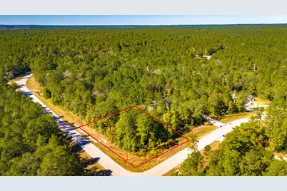 Tbd Grey Feather Road, Huntsville, TX 77340 - Photo 1