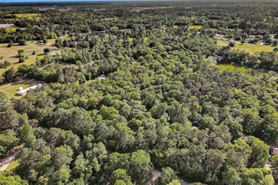 15686 Ben Wiggins, Conroe, TX 77303 - Photo 7