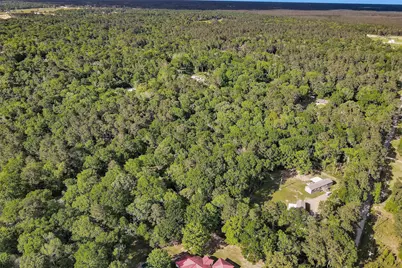 15686 Ben Wiggins, Conroe, TX 77303 - Photo 5