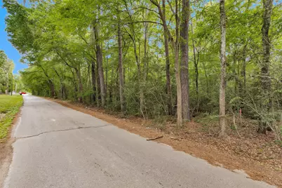 15686 Ben Wiggins, Conroe, TX 77303 - Photo 3